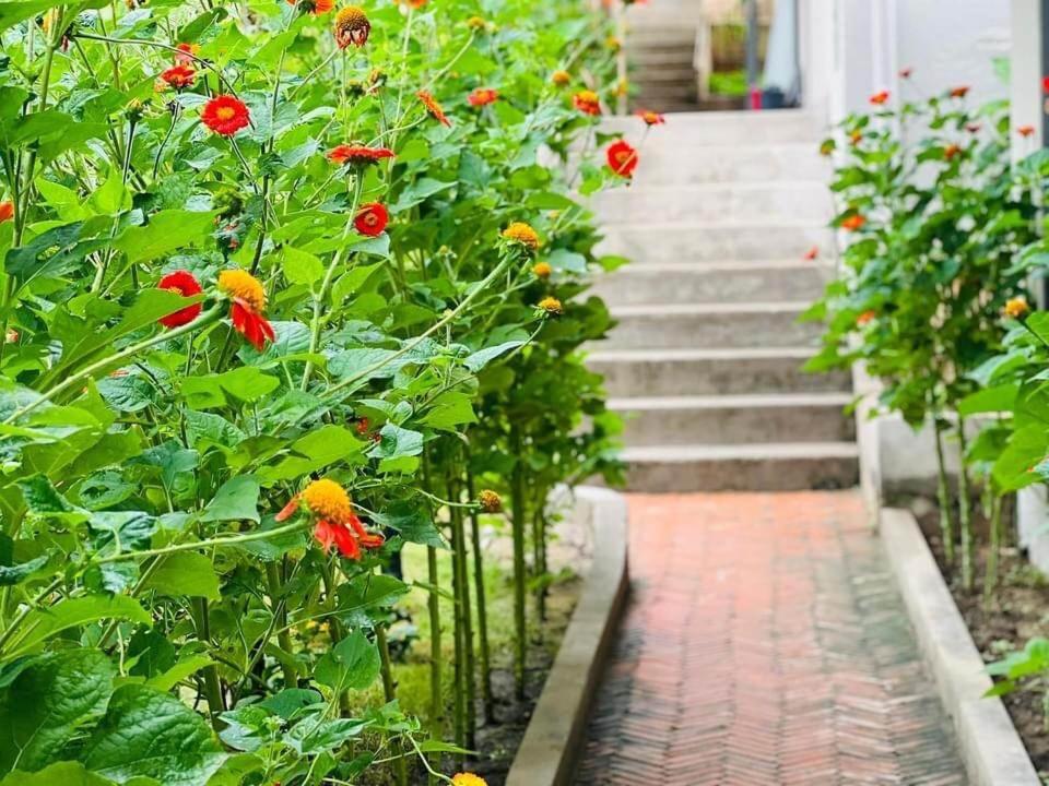 Golden Lotus Spa & Homestay Ap Thien Phuoc Zewnętrze zdjęcie