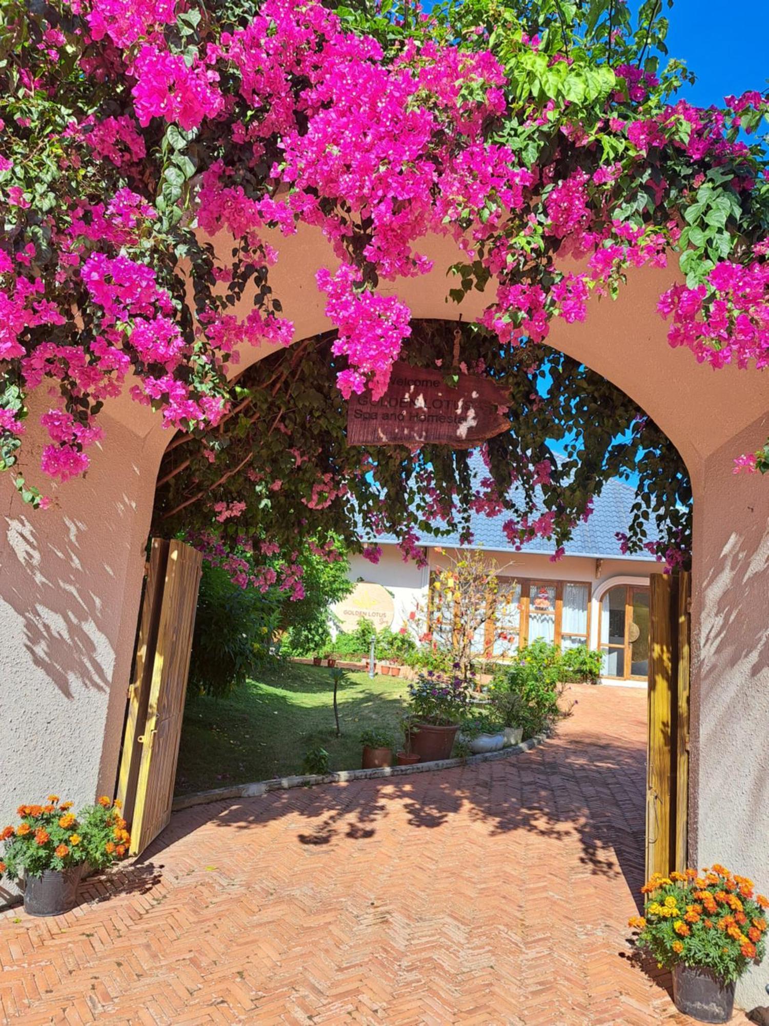 Golden Lotus Spa & Homestay Ap Thien Phuoc Zewnętrze zdjęcie