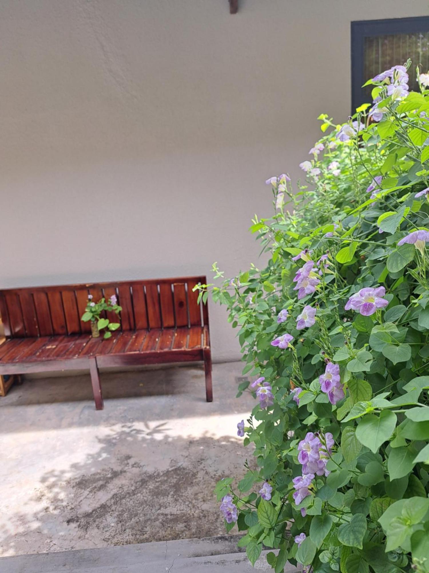 Golden Lotus Spa & Homestay Ap Thien Phuoc Zewnętrze zdjęcie