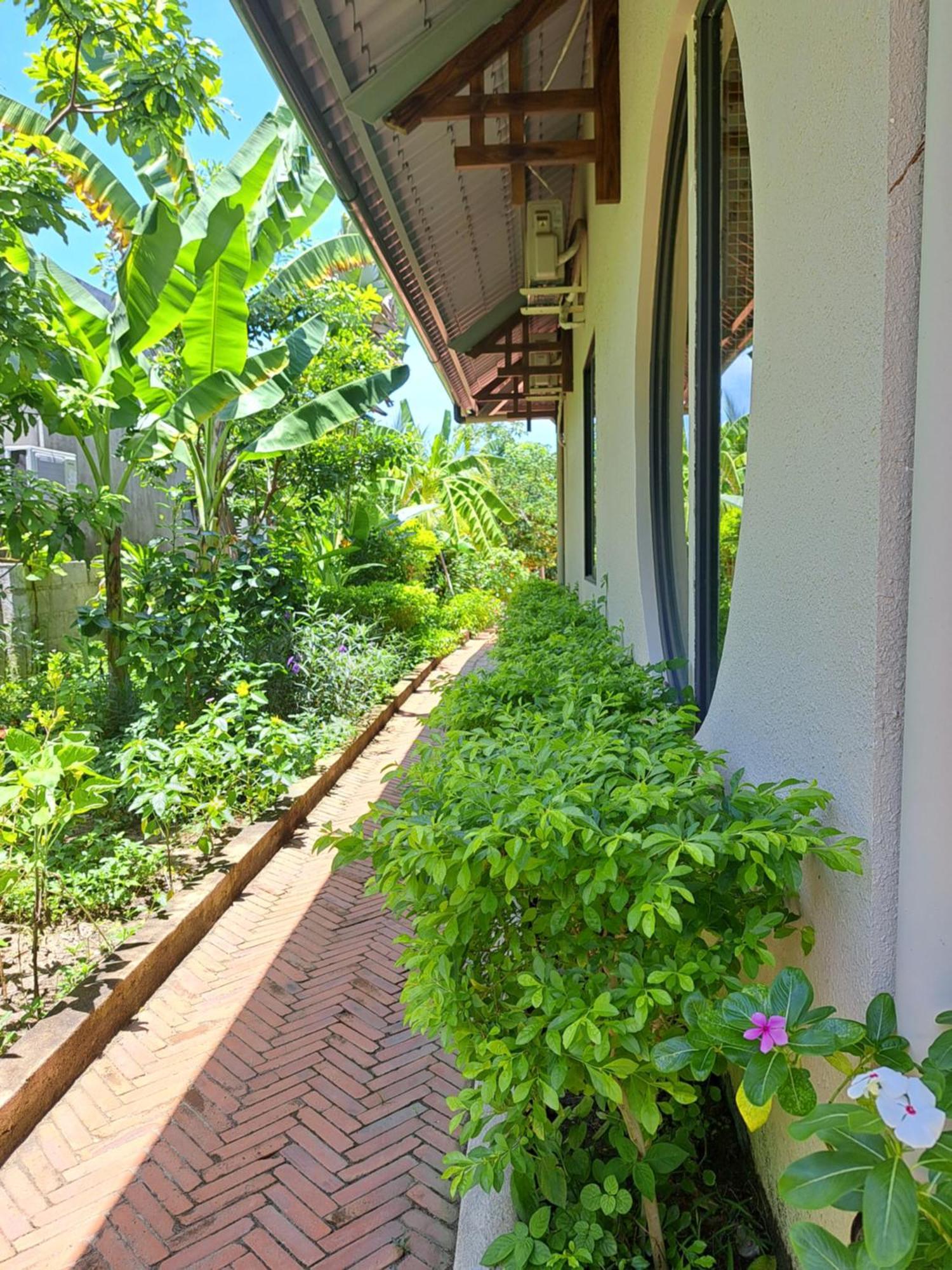 Golden Lotus Spa & Homestay Ap Thien Phuoc Zewnętrze zdjęcie