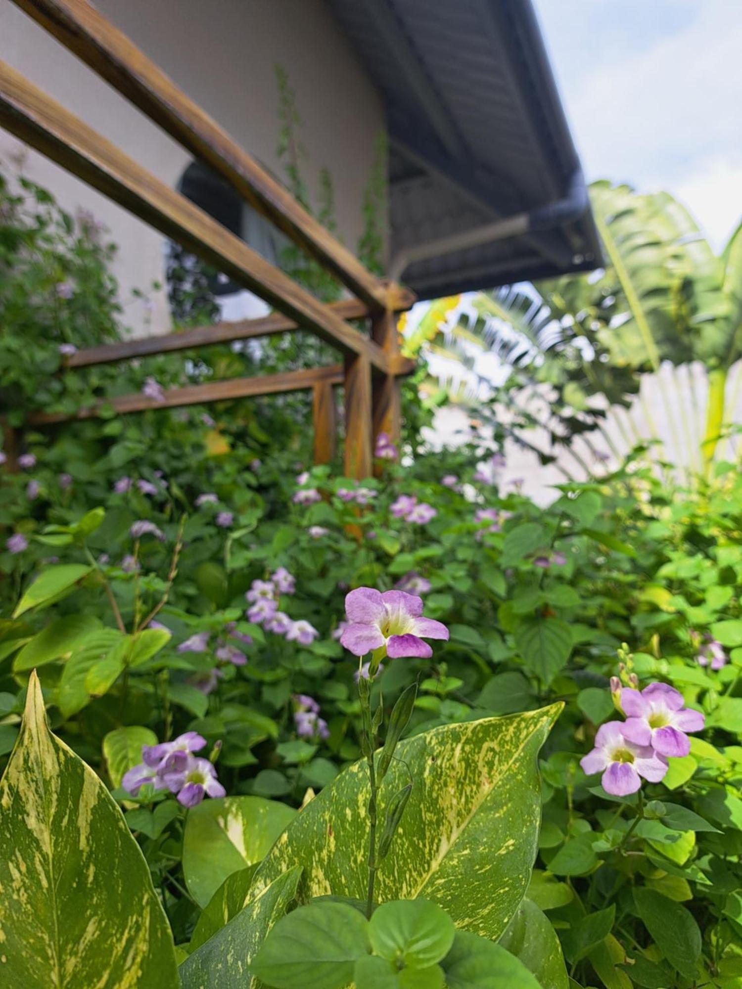 Golden Lotus Spa & Homestay Ap Thien Phuoc Zewnętrze zdjęcie