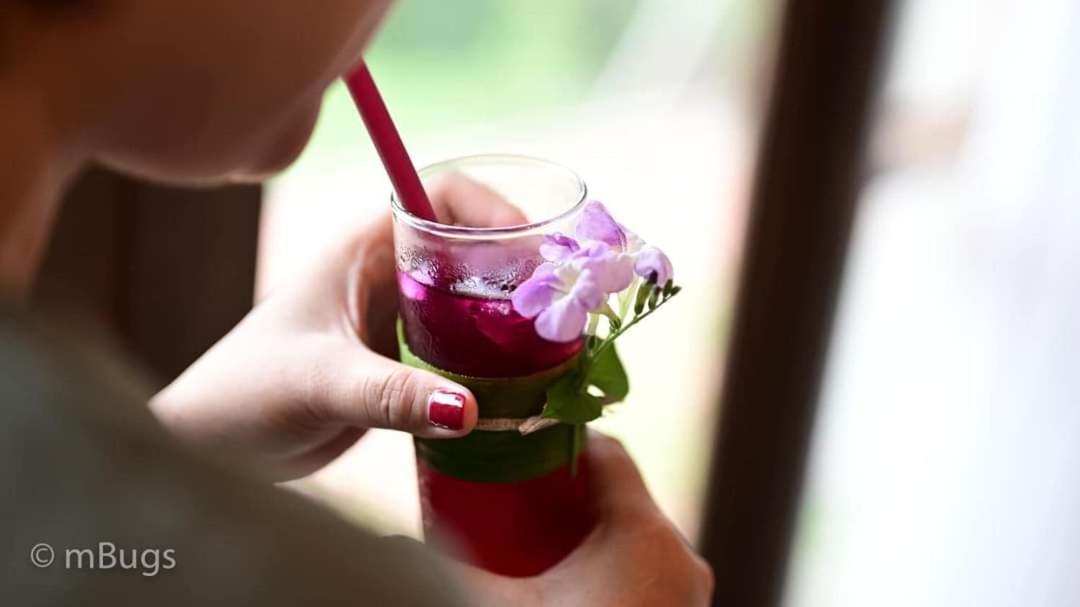 Golden Lotus Spa & Homestay Ap Thien Phuoc Zewnętrze zdjęcie