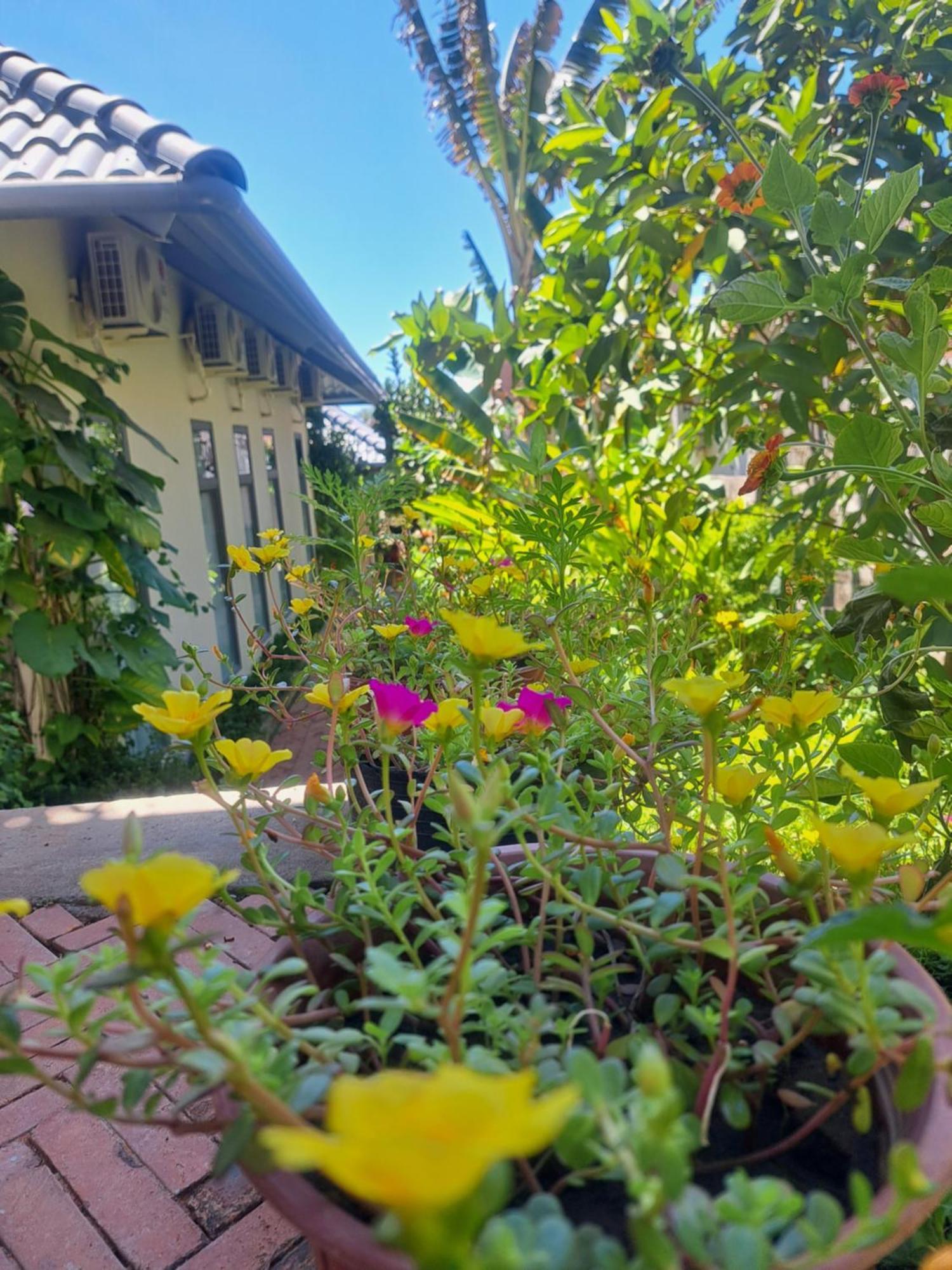 Golden Lotus Spa & Homestay Ap Thien Phuoc Zewnętrze zdjęcie