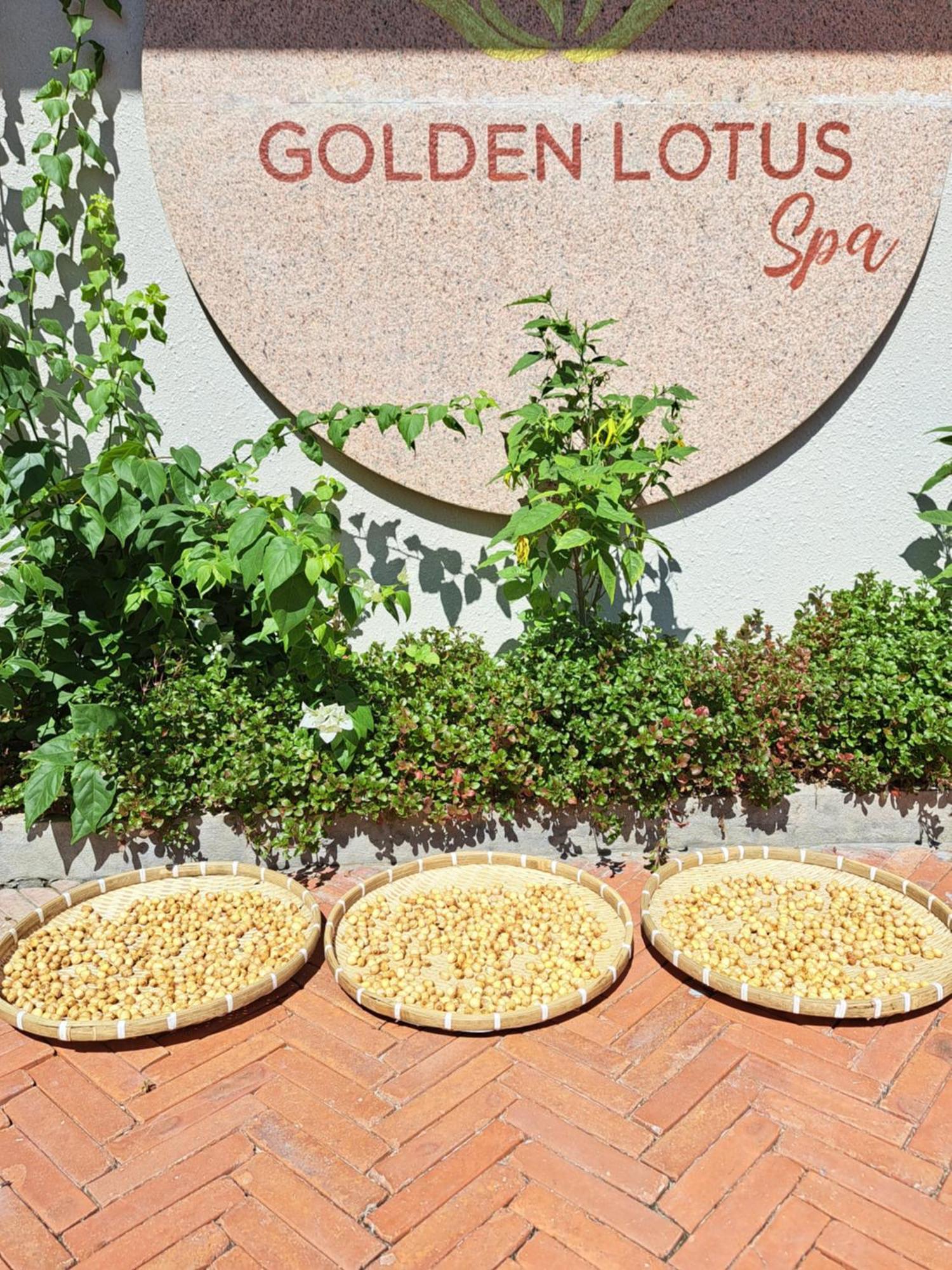 Golden Lotus Spa & Homestay Ap Thien Phuoc Zewnętrze zdjęcie
