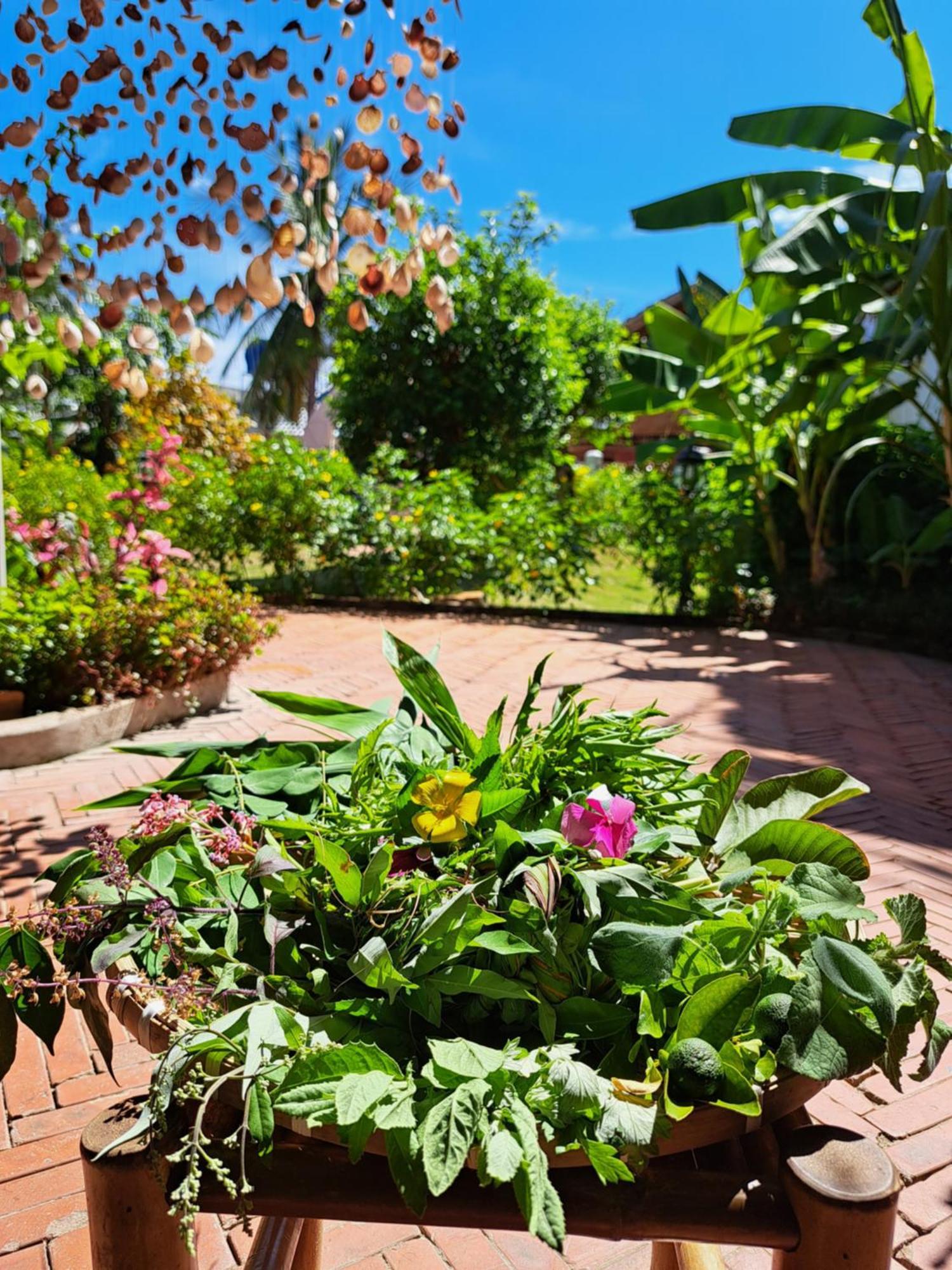 Golden Lotus Spa & Homestay Ap Thien Phuoc Zewnętrze zdjęcie